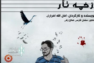 نمایش «زخمه تار» سومین اجرای نمایش در سیزدهمین جشنواره تئاتر خراسان جنوبی 6